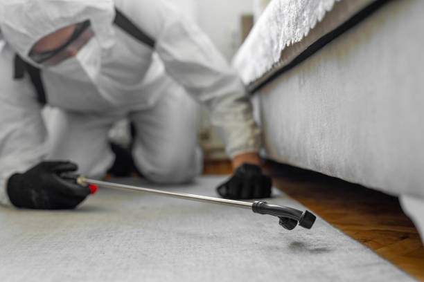 Professional Ant Control technician working in Glen Raven, NC